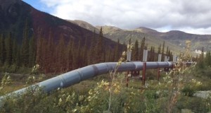 Because permafrost is drilled for the pipeline, vertical supports are required.